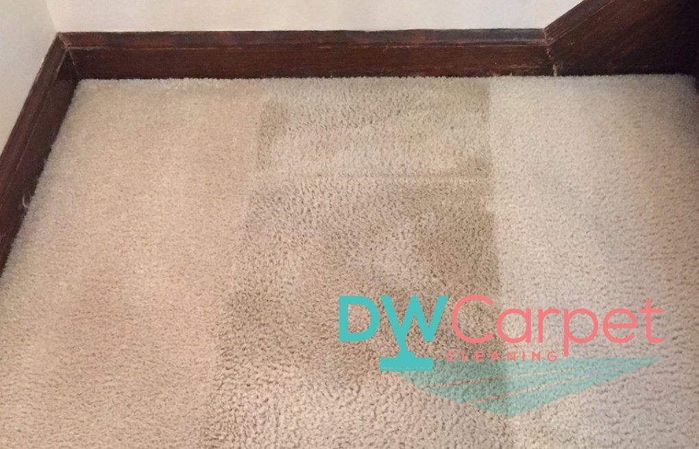 5 Things to Consider When You Engage Professional Carpet Cleaning Company in Singapore