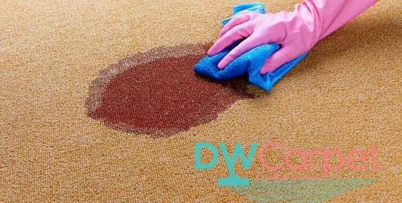 Useful Tips on Rug Cleaning