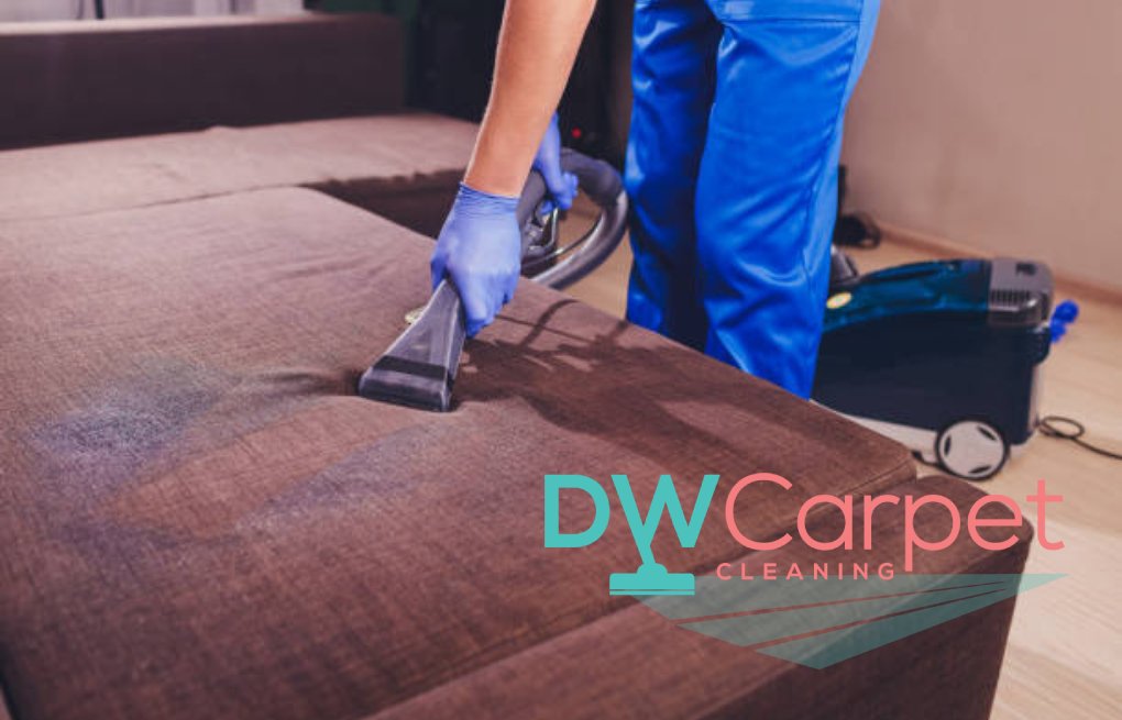 Things to Take Note of When Hiring a Professional Sofa Cleaning Company