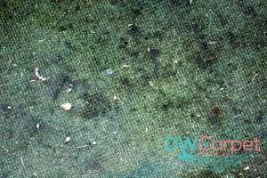 carpet-condition-how-much-does-professional-office-carpet-cleaning-cost-in-singapore-office-carpet-cleaning-long-form-dw-carpet-cleaning-singapore