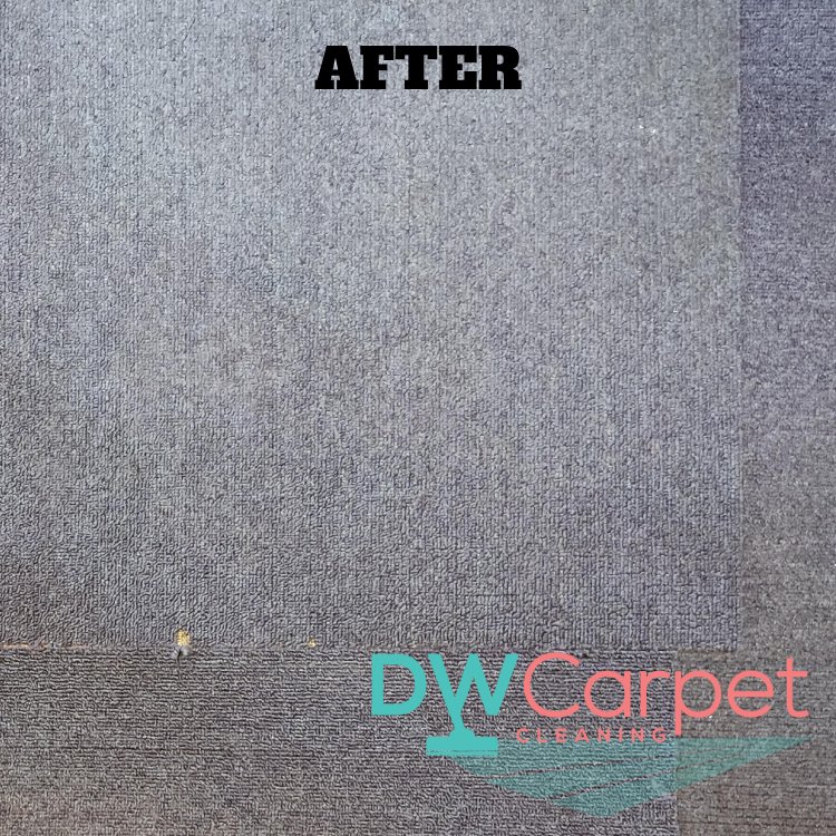 office-carpet-cleaning-services-carpet-cleaning-singapore-commercial-bukit-merah-5