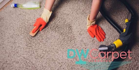 7 Useful Tips for DIY Office Carpet Cleaning in Singapore