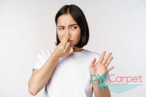 persistent-odors-5-signs-you-should-schedule-professional-office-carpet-cleaning-in-singapore-office-carpet-cleaning-dw-carpet-cleaning-singapore
