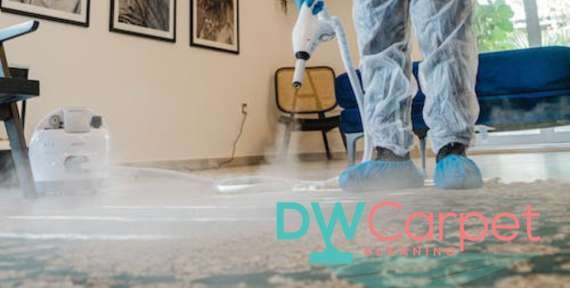 How Much Does Professional Office Carpet Cleaning Cost in Singapore?