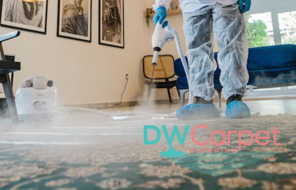 How Much Does Professional Office Carpet Cleaning Cost in Singapore?