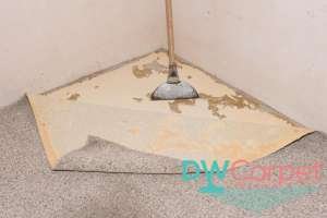 replacing-the-carpet-6-common-misconceptions-about-office-carpet-cleaning-dw-carpet-cleaning-singapore
