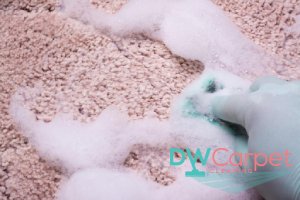 use-a-carpet-cleaner-or-shampooer-7-useful-tips-for-diy-office-carpet-cleaning-in-singapore-office-carpet-cleaning-dw-carpet-cleaning-singapore