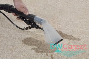 use-slow-overlapping-strokes-when-extracting-moisture-7-useful-tips-for-diy-office-carpet-cleaning-in-singapore-office-carpet-cleaning-dw-carpet-cleaning-singapore