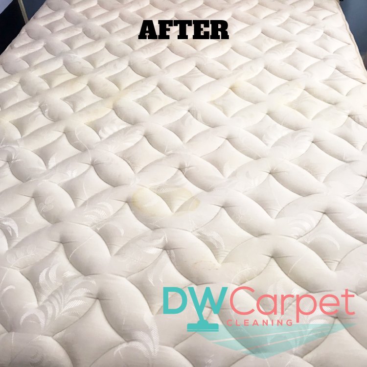 mattress-cleaning-services-dw-carpet-cleaning-singapore-hdb-choa-chu-kang-3